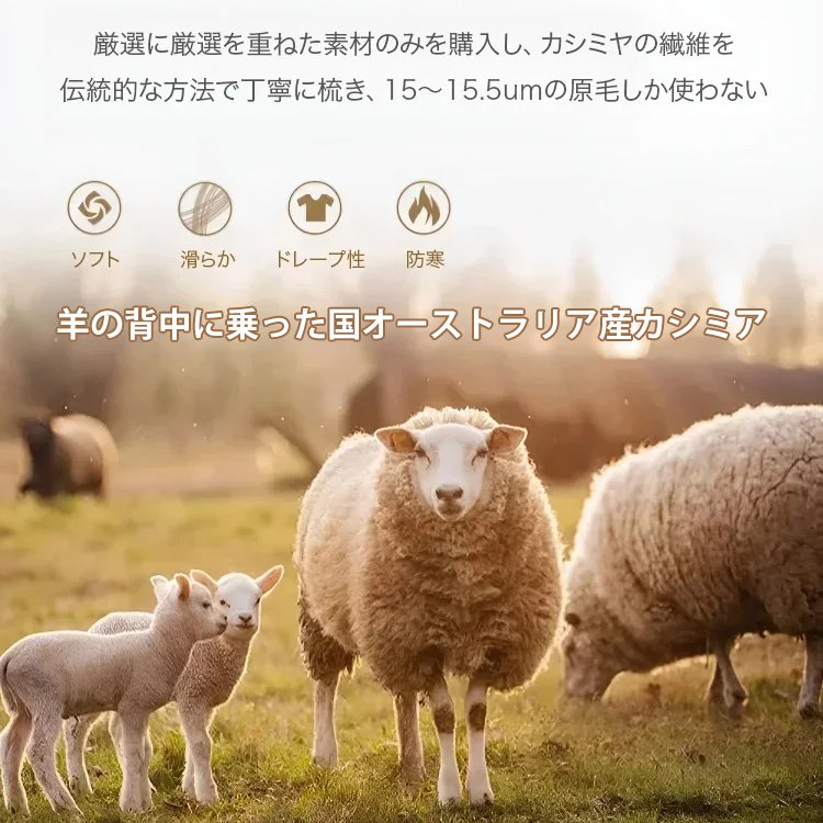 【冬の新作、先着50名様限定で半額】ウエストゴム美脚ワイドパンツ