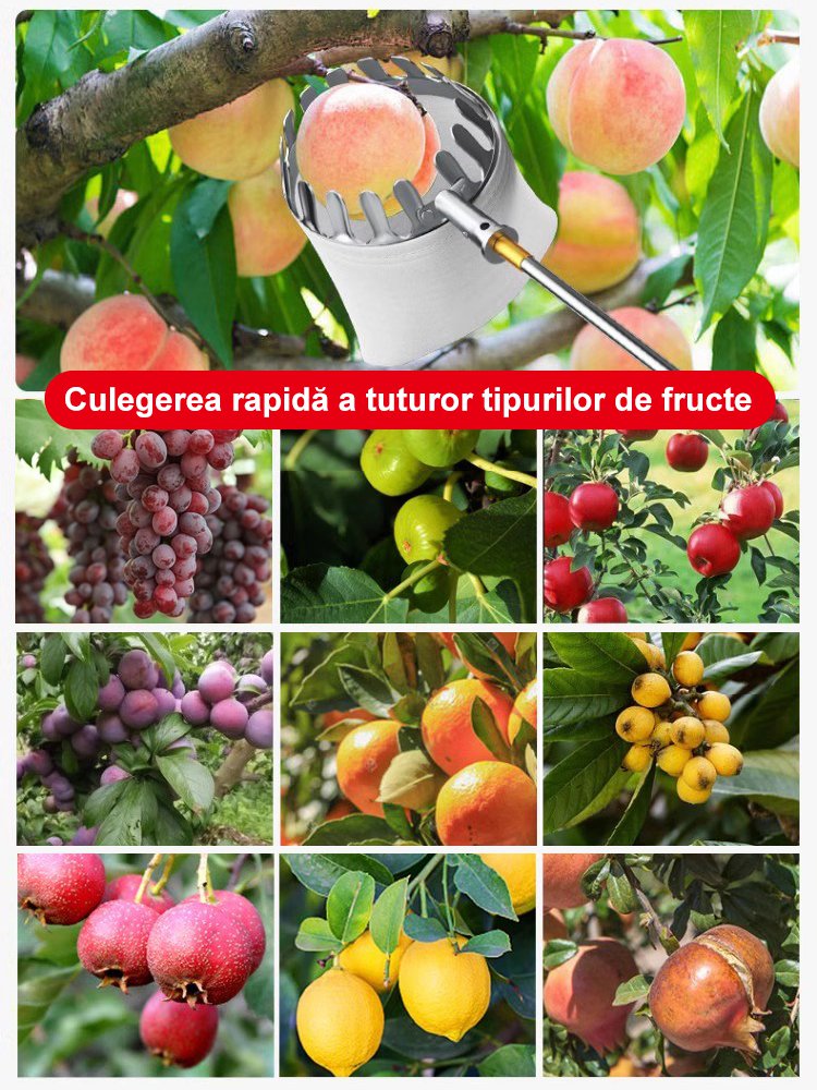 Culegător de fructe  telescopic multifuncțional