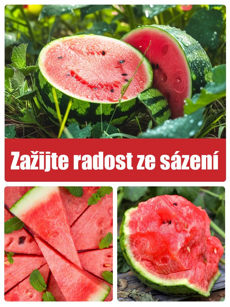 Semena melounu Red Jade