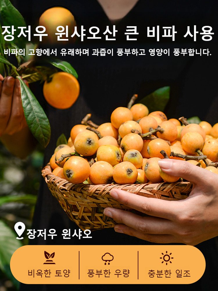 [거의 무료] 정통 고산 건조 모과 오늘 주문하시면 1개 무료