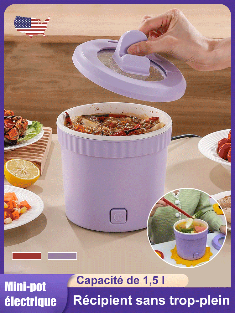 Cuisinière électrique multifonction