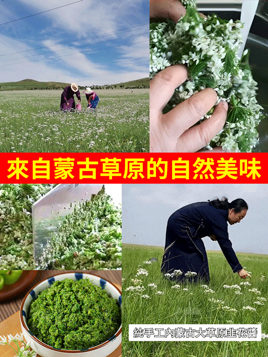 純手工內蒙古大草原韭花醬