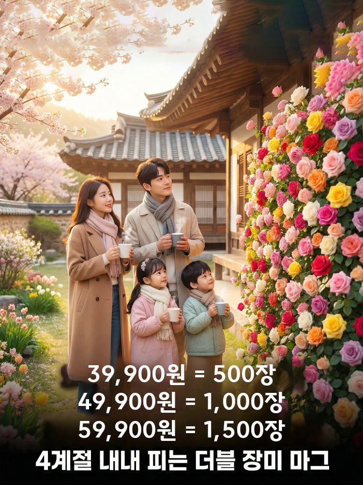 【사계절 개화】이중꽃 장미씨앗