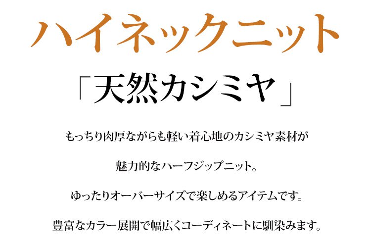 モデル着用カシミヤハーフジップニット（メンズ）