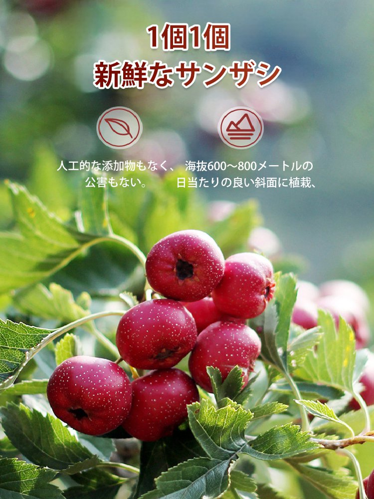 サンザシお菓子