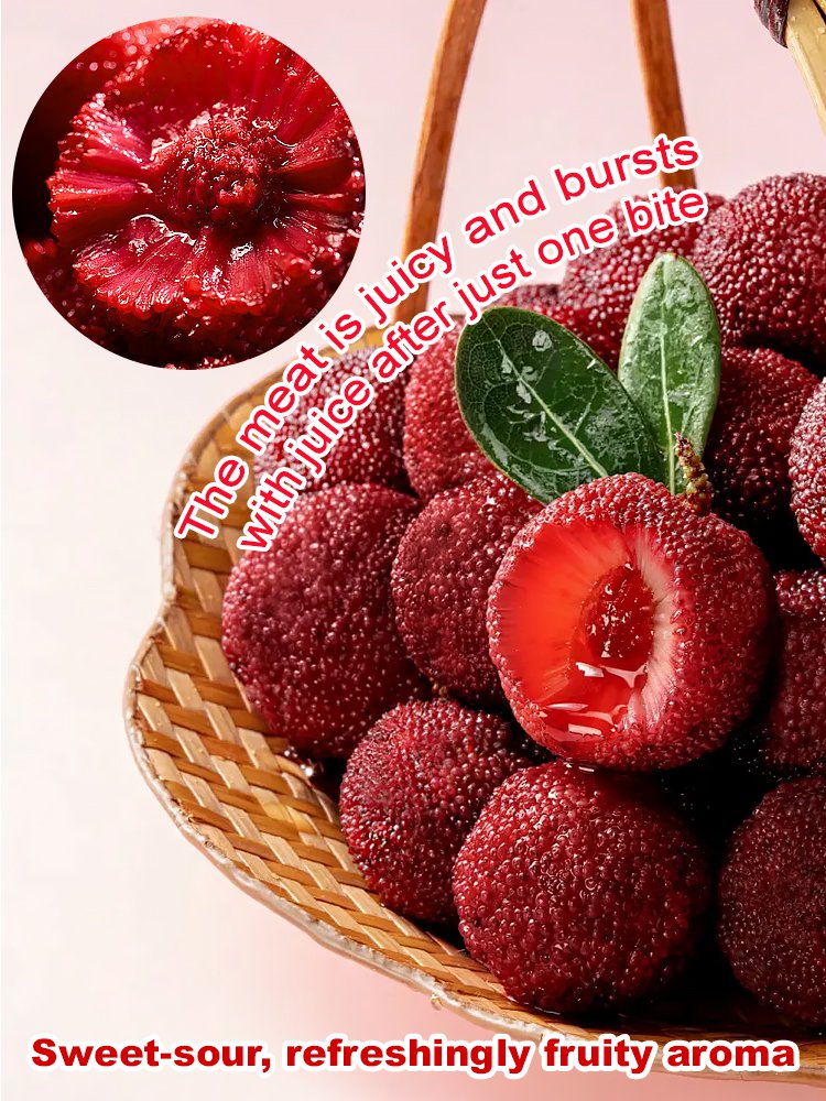 Home garden planting Dongkui prune 