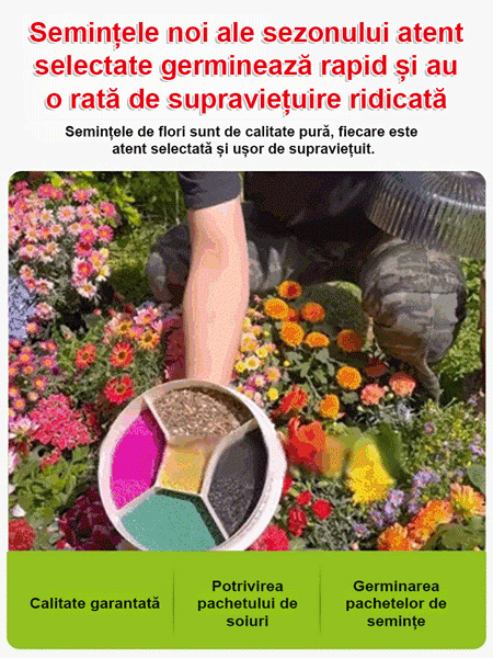 【Flori de patru anotimpuri】Amestec de semințe pentru un câmp de flori