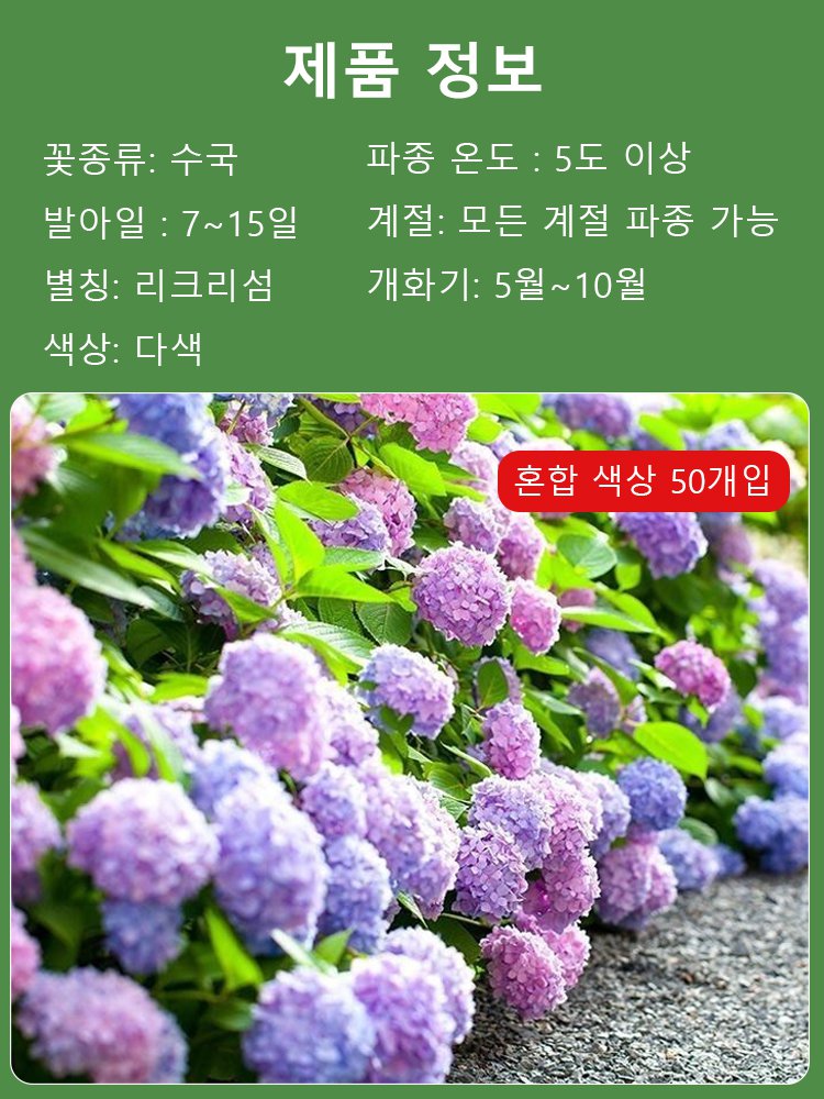 【꽃이 피는 사계절】모네 가든 판타지 수국 씨앗