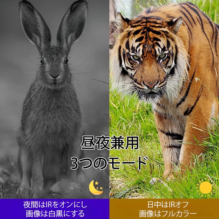 赤外線暗視機能付き双眼鏡