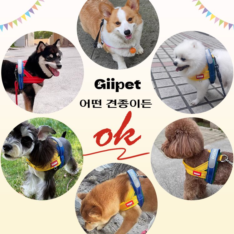 giipet-트리컬러 컬러 하네스