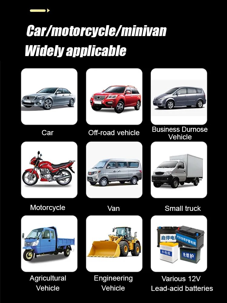 Car Battery Repair Charger