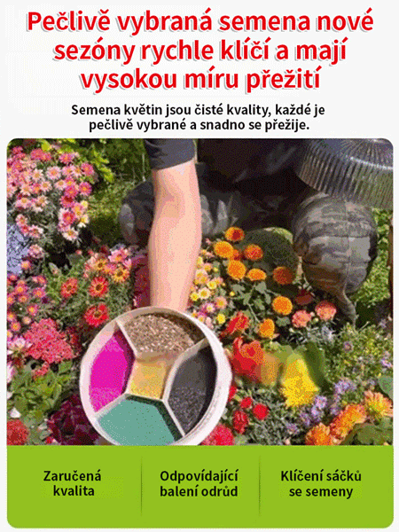 【Kvetení ve čtyřech ročních obdobích】Semena květinové mořské kombinace