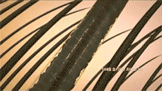 1539243313683151.gif