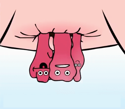 1-(2).gif