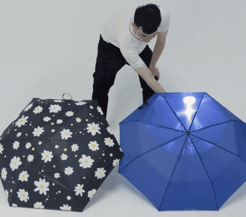 640-(3).gif