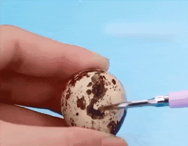 1597144760933810.gif