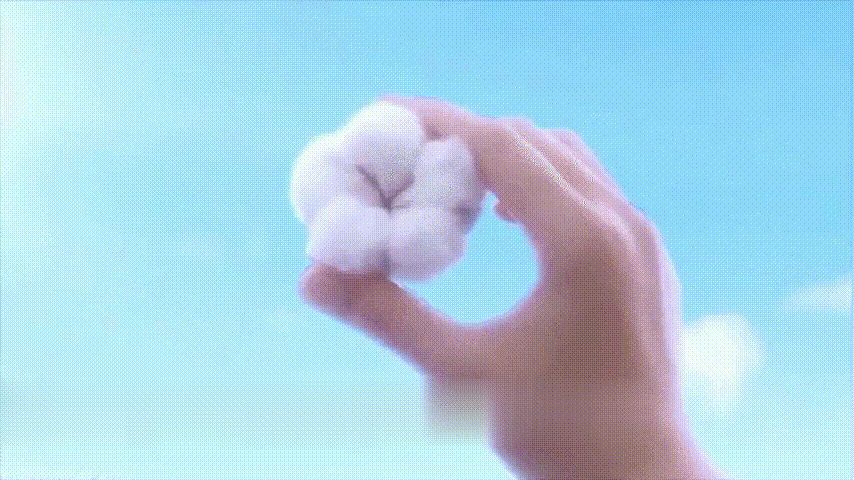 1596016492508004.gif