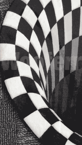 gif3.gif