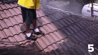 4.gif