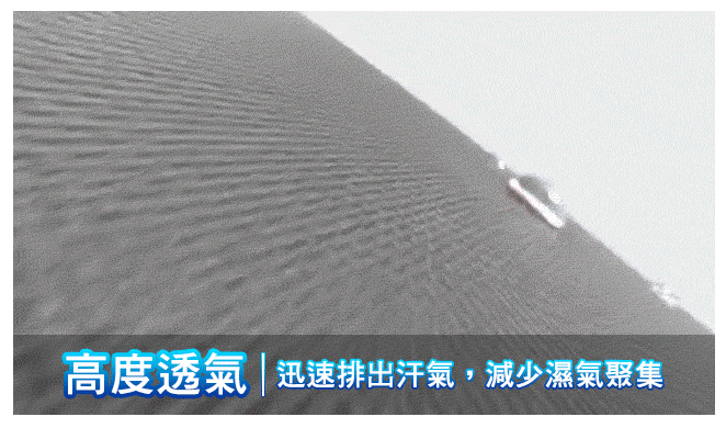 02.gif