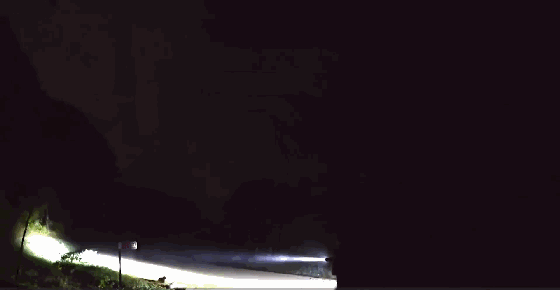 1.gif