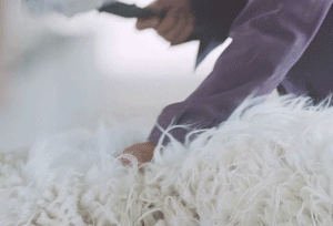 1608540984432642.gif