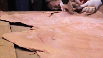 1596448660818307.gif