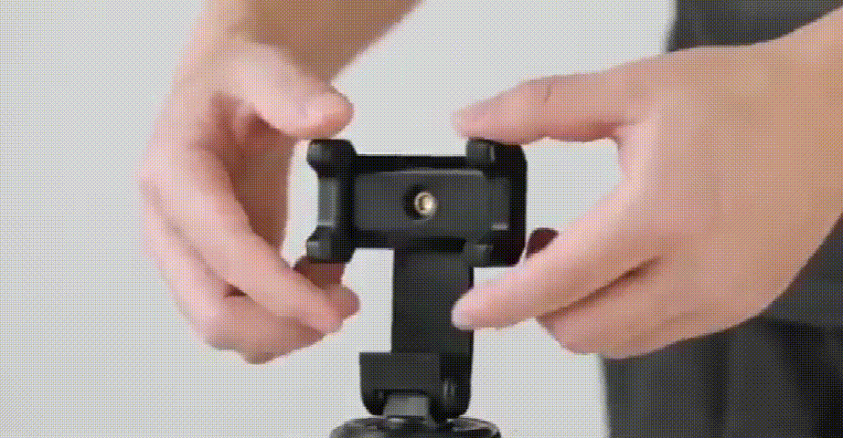 12.gif