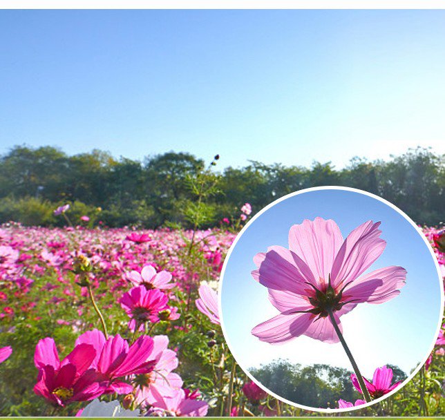 高品質素材を使用した老眼鏡の詳細