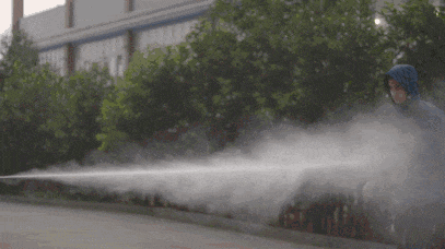 11.gif