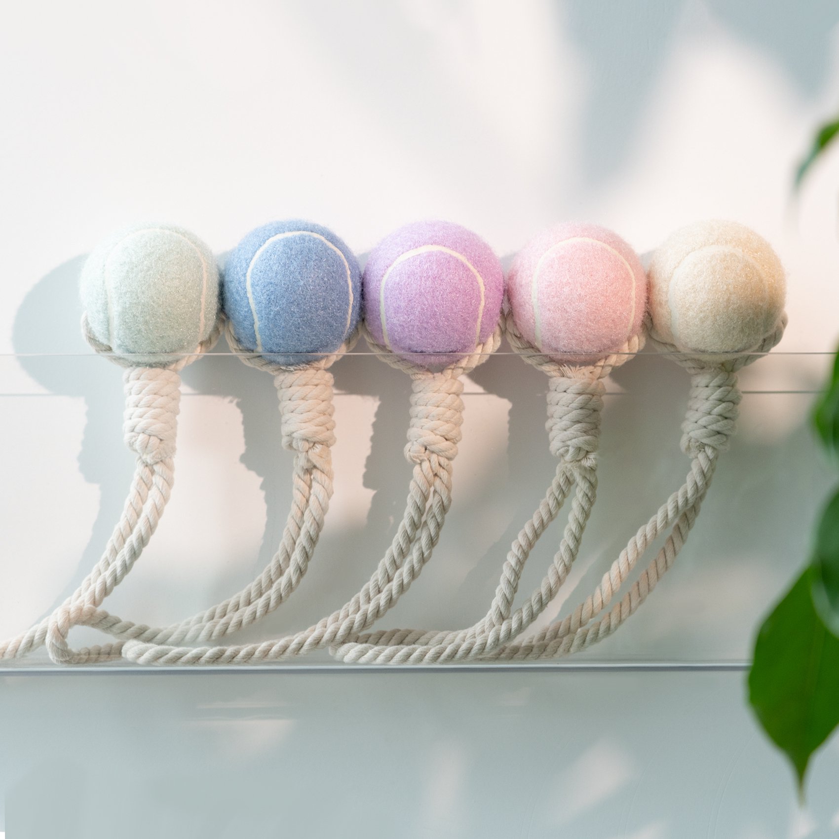 Juguetes para perros de tenis