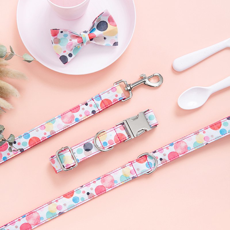 ชุดสายจูงและปลอกคอสำหรับสุนัข