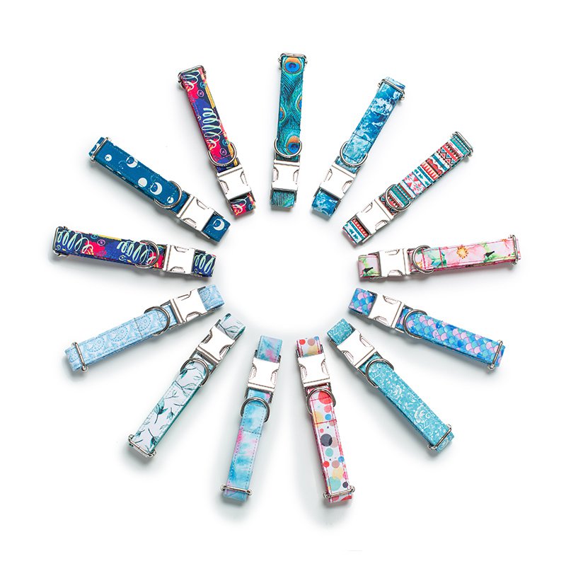 애완견 목줄과 리드줄