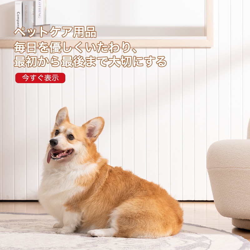 100qoo オンラインストア