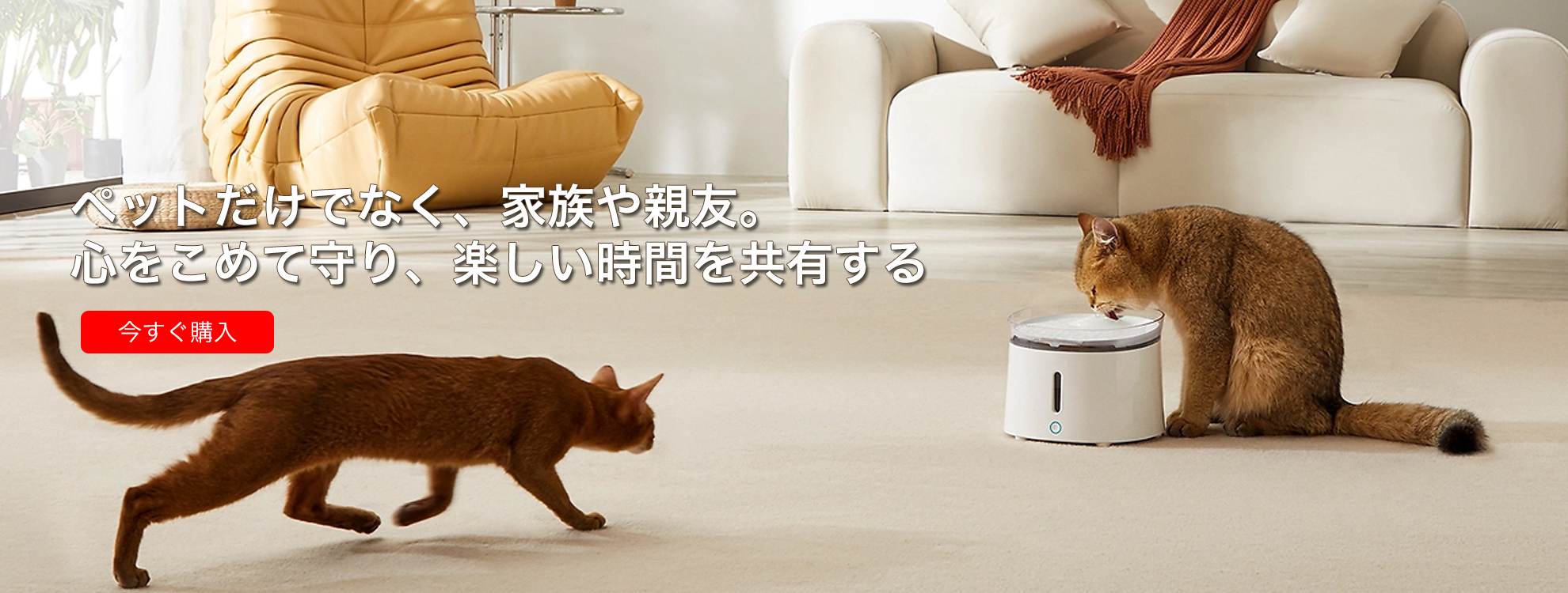 charmrach オンラインストア