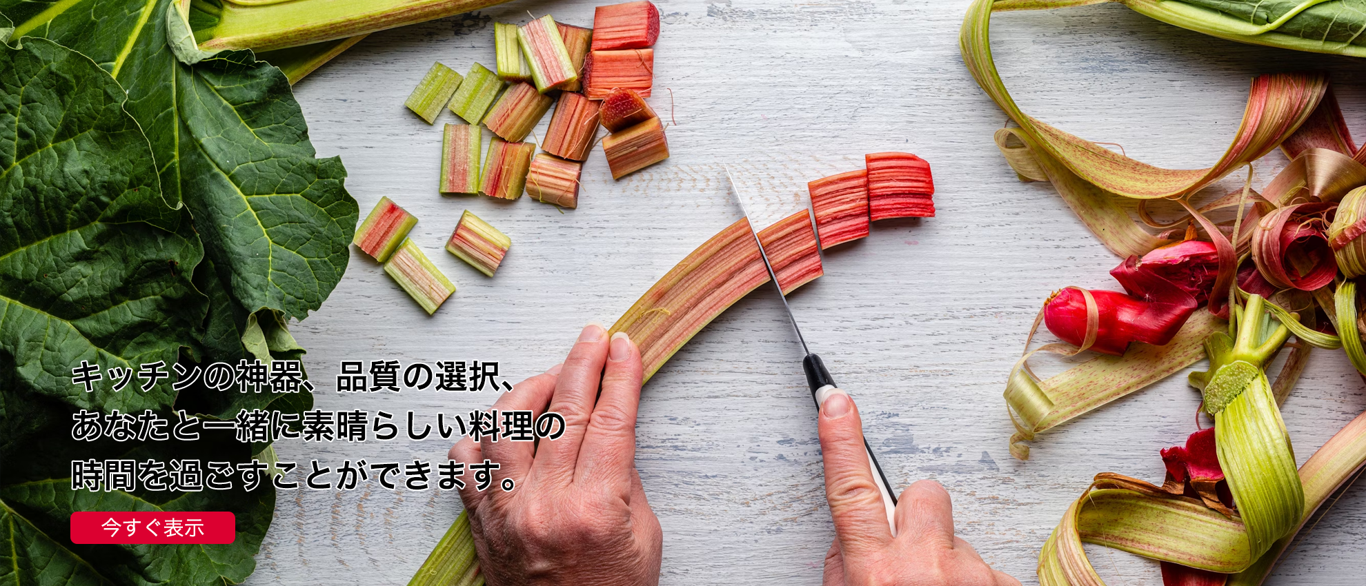 Xenonull オンラインストア