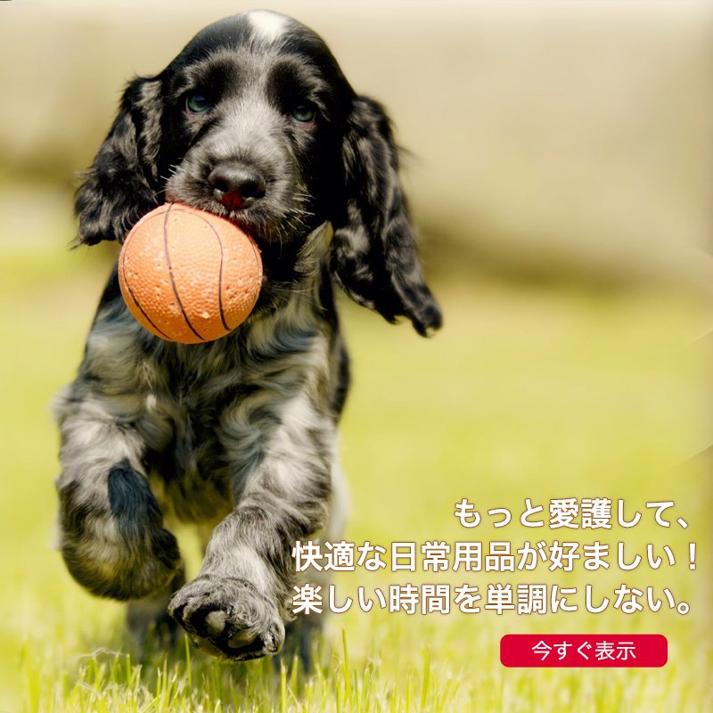 jp-noio オンラインストア