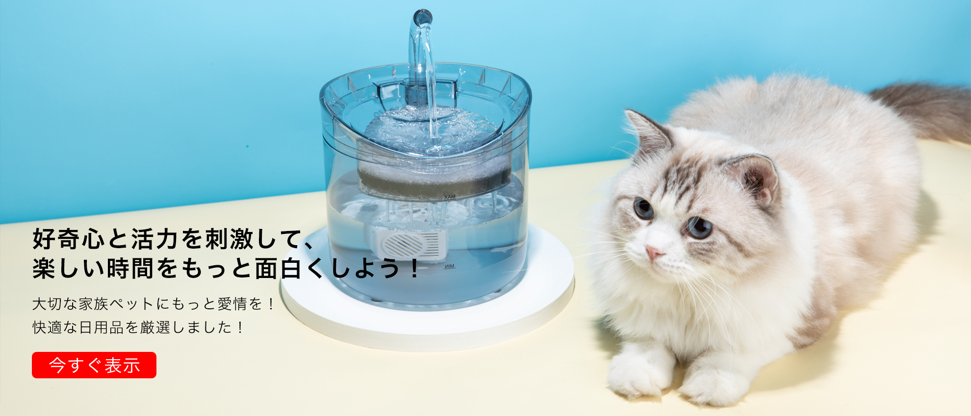 ameicaca  オンラインストア