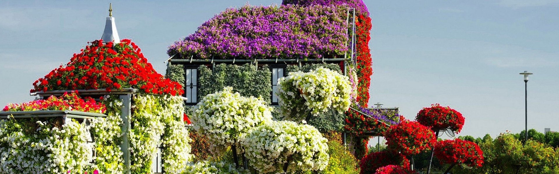 vnccenn オンラインストア