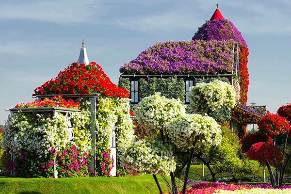 vnccenn オンラインストア