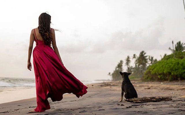 zym-mall 한국 쇼핑몰