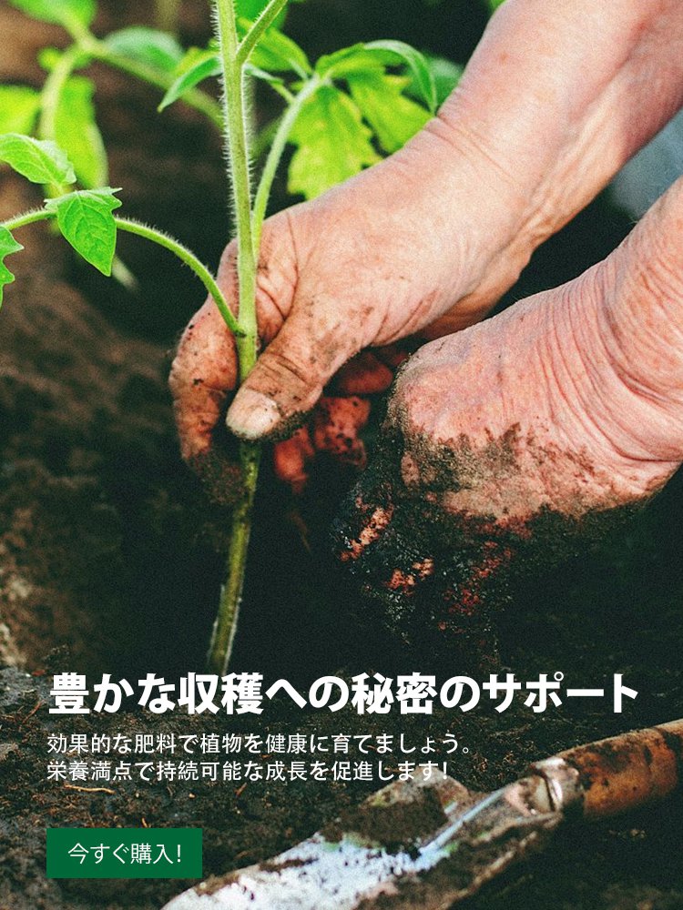 オンラインストア