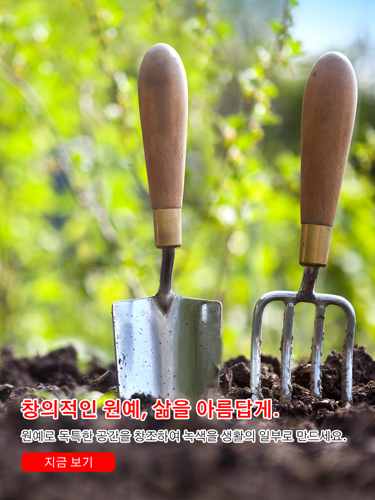 키키 한국 쇼핑몰