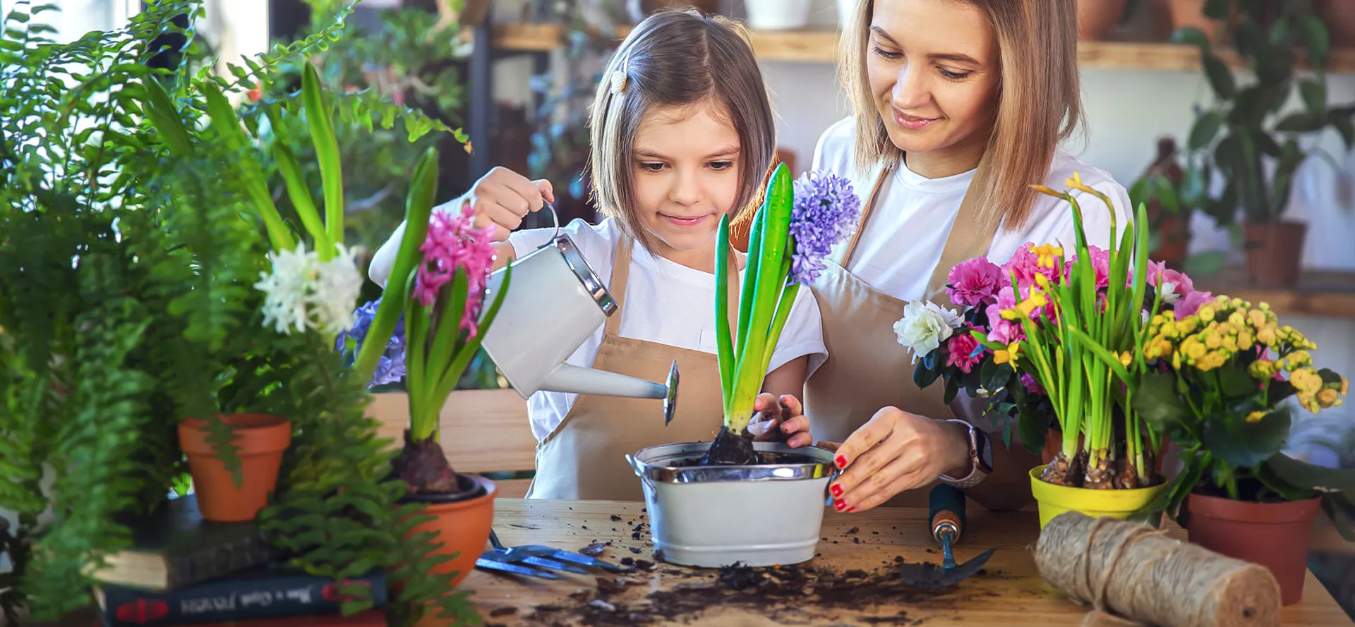 Online shopping MALL