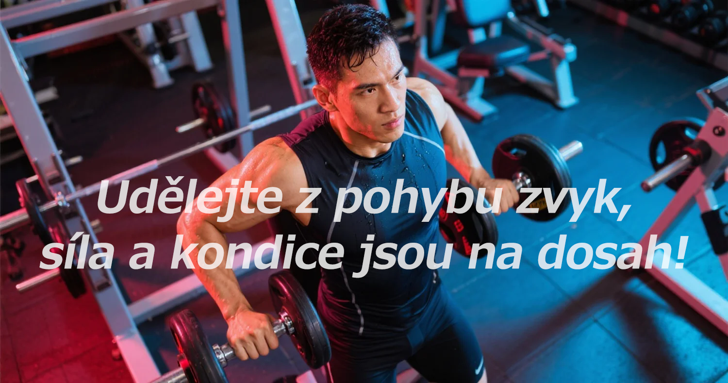 Online nákupní centrum