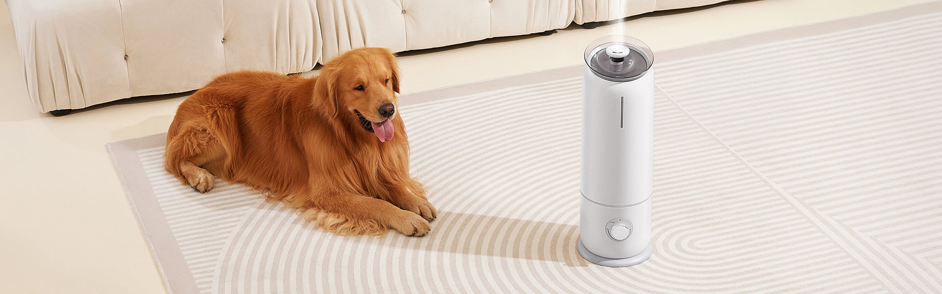 便利でおしゃれなキッチンアイテム通販｜人気調理グッズ多数,ペットグッズ専門店｜犬猫用おもちゃ・ベッド・お手入れ用品,人気の小型家電通販｜省スペースで暮らしを快適に