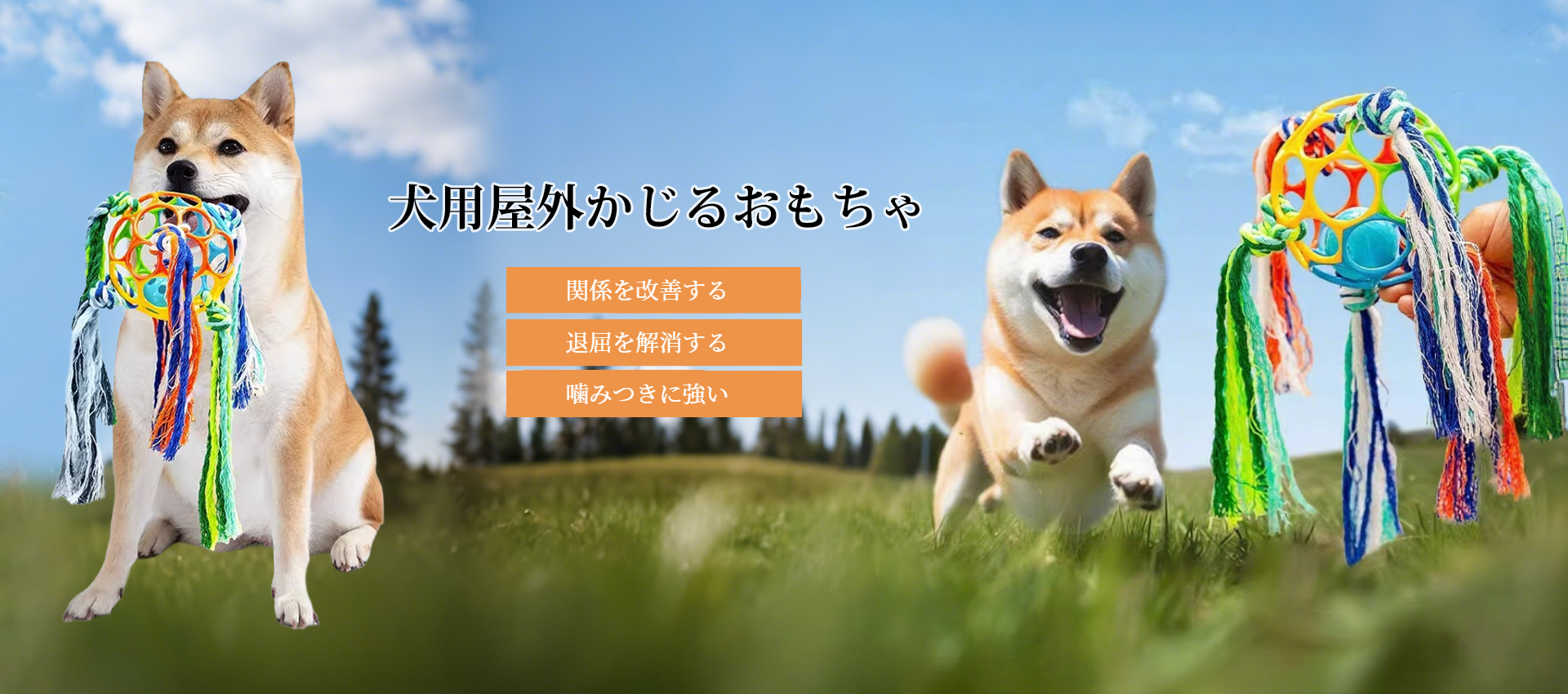 オンラインストア