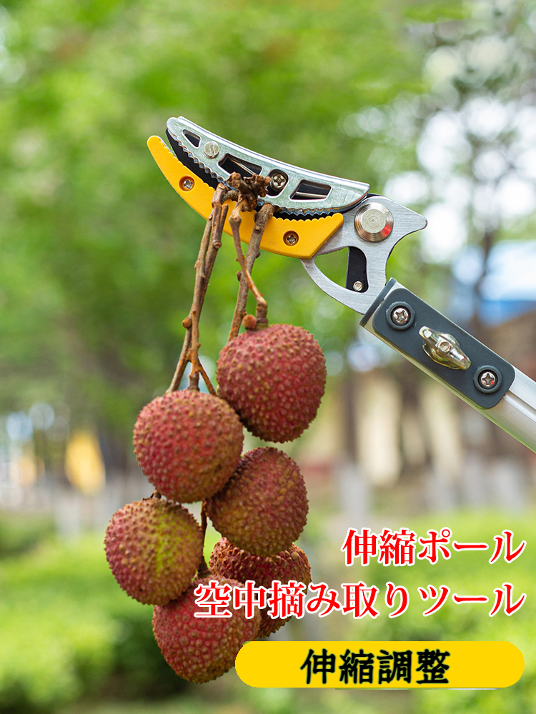 オンラインストア