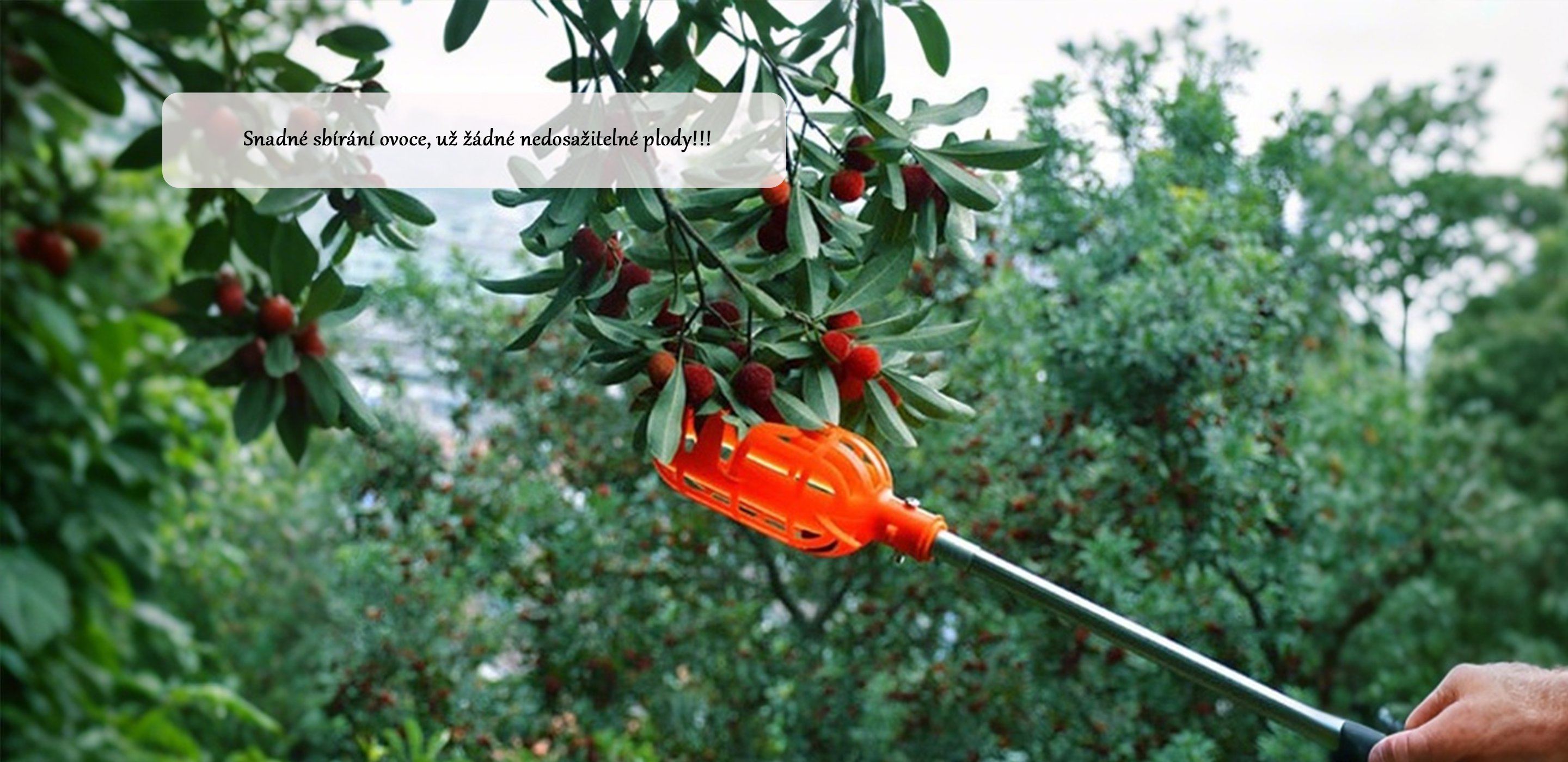 Špičkové vybavení pro vaši zahradu – Kvalitní nářadí a příslušenství online,Praktické produkty pro každodenní potřebu – Pohodlný online nákup,Moderní domácí spotřebiče pro snadnější život – Výhodné ceny a rychlé doručení