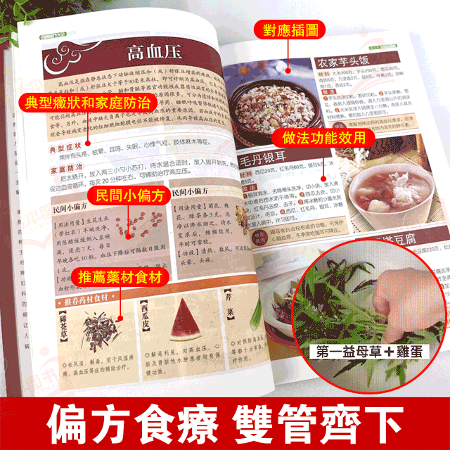 百病食療大全養生書
